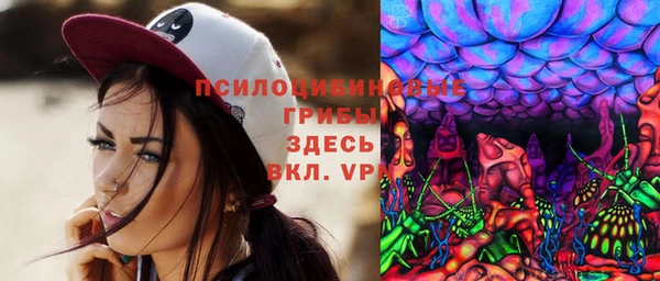 дурь Аркадак