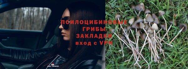 дживик Арсеньев