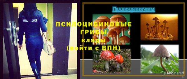 дурь Аркадак