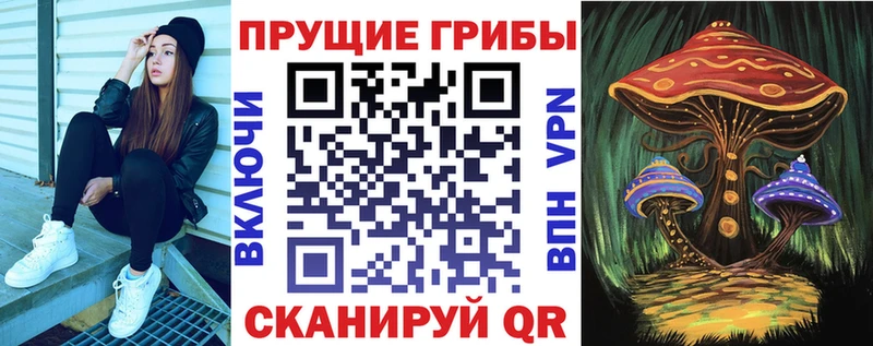 Псилоцибиновые грибы Cubensis  Сатка 
